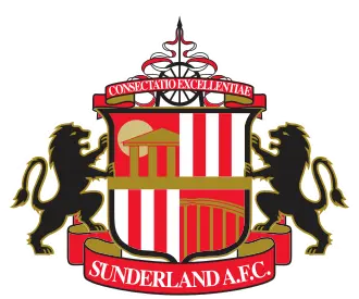 Bournemouth beat Sunderland 2-0 for first league win